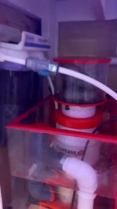 5.1K views · 106 reactions | Answering all questions in the comments ⬇️ This is how my octopus tank was setup. I’ve definitely improved and upgraded it over the years. I will be posting the new and improved version later today! | The Reef Doc | Facebook