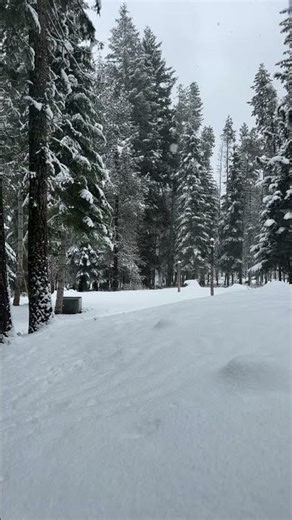 Beautiful views at Odell Lake Resirt, Crescent, Oregon