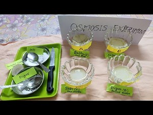 #osmosis experiment with potato#NCERT Exercise #class 9th chapter cell #