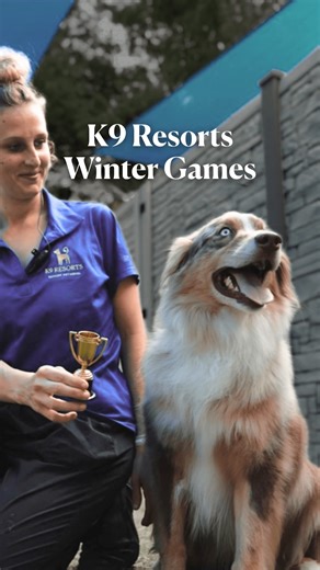 Team USA, if you're looking for a last-minute ringer, you know where to find them. 🏆 With a variety of enrichment activities and group socialization opportunities, K9 Resorts doggie daycare helps our guests reach peak performance… no matter what “event” they’re training for. | K9 Resorts Luxury Pet Hotel Plano