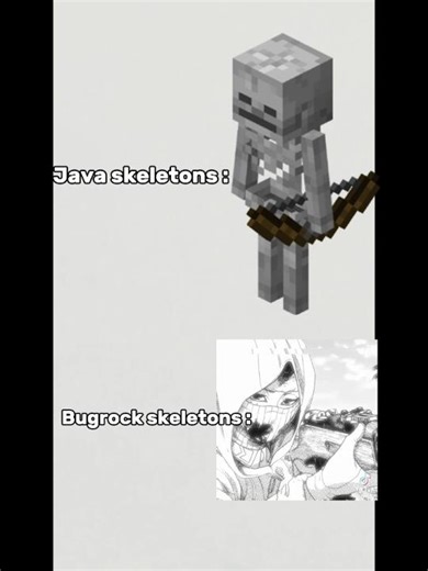 bugrock skeletons vs java skeletons