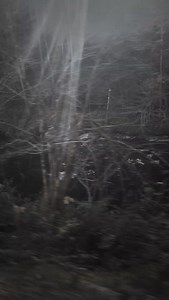 Paranormal 411 on Reels