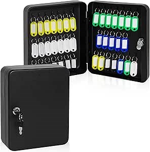 PACOLO Steel Key Storage Lock Box with Two Keys, Wall Mount Key Organizer for Home, Hotel, and Car Keys Management (Black-40 Keys, S)