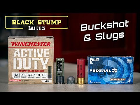 Buckshot and Slugs - 12Ga shot shell basics