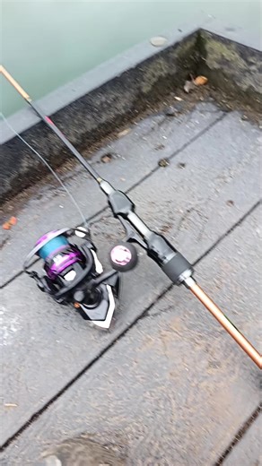 #fyppp #summer #fishing #fyp #fish