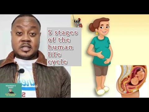 How Humans Grow and Develop