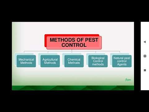 Pest and pest control management #pestcontrol #pest #pestcontrolmanagement
