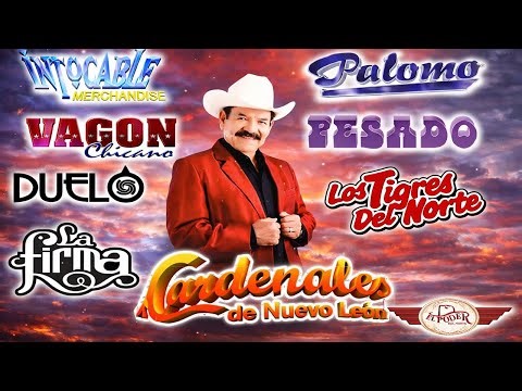 LOS TIGRES DEL NORTE, PESADO, DUELO Y MÁS - Puros Éxitos Norteños Pa Pistear Mix FIN DE AÑO 2026