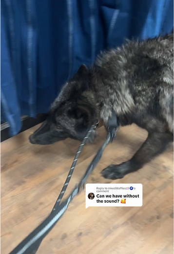 Reflecting on Self-Acceptance and Identity