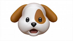 21 reactions | In a long-term relationship? This dog has an important message for you... Hear the full song here: https://open.spotify.com/track/4rqoixtbqpkh91ZBlk3rga | Martin Kerr | Facebook