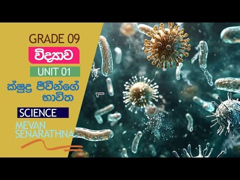 Grade 09 - Science - Unit 01 - DAY 01