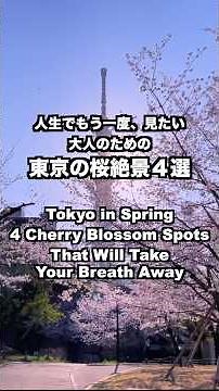 人生でもう一度、見たい大人のための東京の桜絶景４選 Tokyo in Spring4 Cherry Blossom Spots 東京観光 桜の名所 花見 sakura ＃東京の桜＃桜の名所＃東京の春