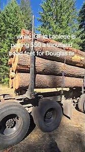 hauling logs for a tree service.... and current log prices