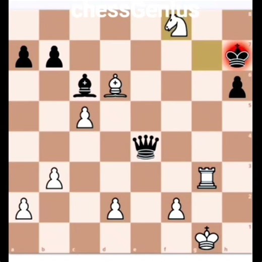 Bobby Fischer's historic chess game