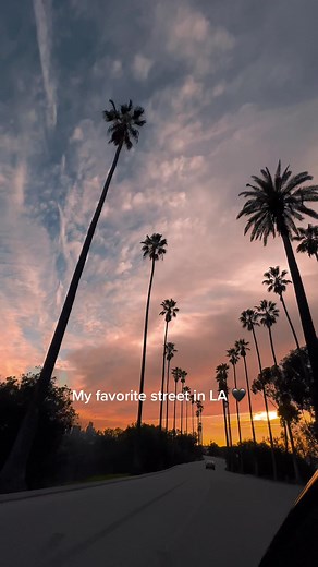 Sunset Cruises on Palm Tree Lined Streets in Los Angeles