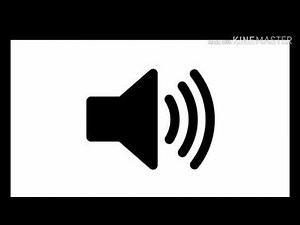 The Sailor Moon Crying Voice