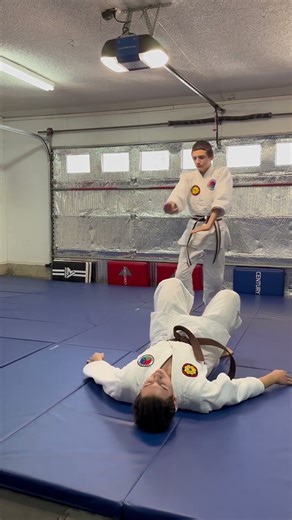 Basic 17 - Atemi Waza - #01 Shomen Ate - Seishin Budokan