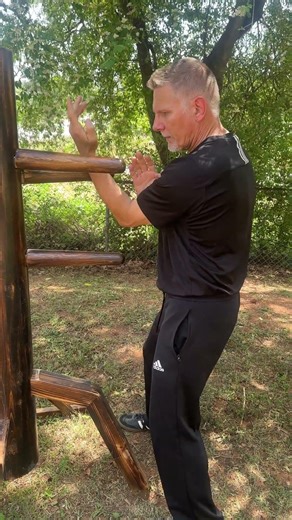 Ip Man Wooden Dummy Section #4 #wingchun #jkd #Ipman #vingtsun #jeetkunedo