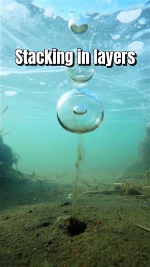 These Aren’t Just Bubbles Under the Ice 😳