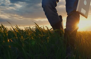 Sustainable agriculture 4.0 - Data-driven technologies | Reply