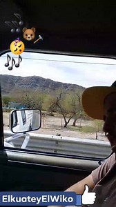 El oso carpintero si funciona🎶 🤣🤣🤣🎶 Compartan!!! | El Kuate y el Wiko "oficial"