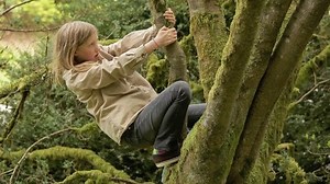 Young Girl Climbing Tree Stock Footage Video (100% Royalty-free) 2240395 | Shutterstock