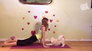 458K views · 1.3K shares | Like owner like doggo  | This is Happening | Facebook