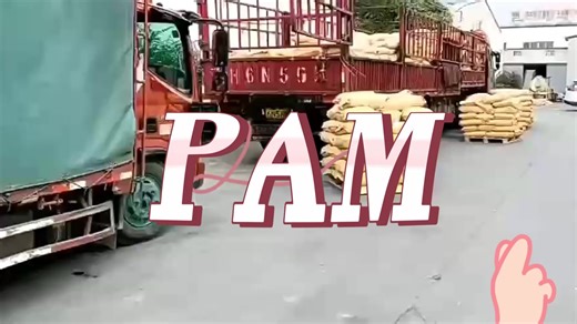 Polyacrylamide PAM Powder for Waste Water Treatment Hifh Quality and Good Price