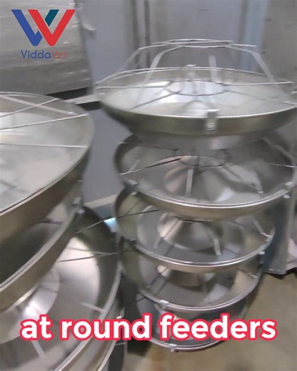 1.1M views · 5.1K reactions | 퐕퐢퐝퐝퐚퐯퐞퐭 퐏퐢퐠 퐅퐞퐞퐝퐞퐫퐬 Mga Ka-Hog...