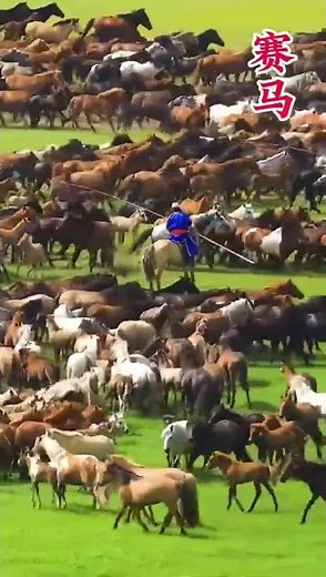 國樂《賽馬》氣勢恢宏！🏇女子十二坊展現民族精神 #國樂 #賽馬 #傳統