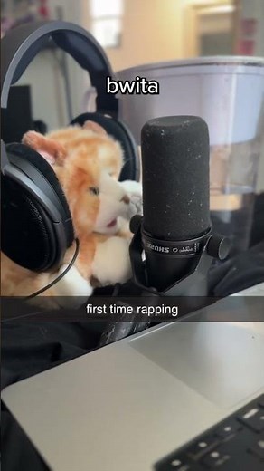 BWITA CAT JUST DROPPED A BANGER #funny #cat #rap