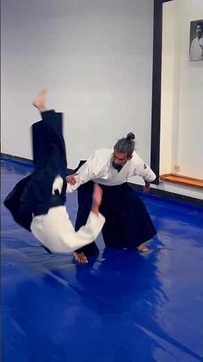 Aikido Techniques Slow Motion 🙏 #martialfusion #aikidopractice