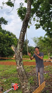 1.5M views · 6.3K reactions | Pengalaman 20 Tahun Jadi Tukang Potong Kayu: Kisah, Tips, dan Trik Terbaik | Herman | Facebook