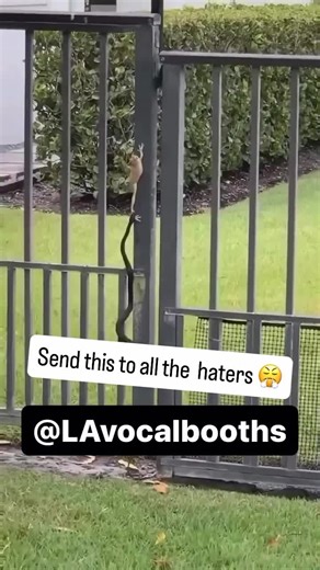 Extensive 4th of July Sale on Vocal Booths!