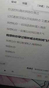 每天一首day很多失眠飞行前几天怎么老传不上视频呢