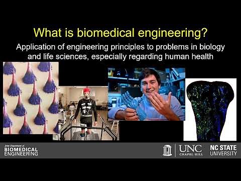 Undergraduate Program Overview - Joint Department of Biomedical Engineering | UNC & NC State