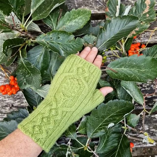 My Whitebeam Mitts knitting pattern is in the spanking new 8th issue of the Journal of Scottish Yarns 🍃 🍂 A column of Swedish Whitebeam berries and a lobed leaf travel the length of the mitt, framed by curving cables. These samples are knit in a whole season of Swedish Whitebeam shades- green leaves,silvery bark, creamy flowers and bright berries, using 'Scottish Merino' DK in either Balmerino or Di Gilpin's Bell Wether DK 🧶 These yarns are both spun from wool grown on local nature-friendly F