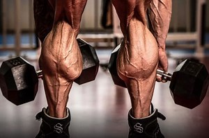 Functional anatomy guide: Soleus muscle • Bodybuilding Wizard