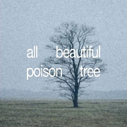 Poison Tree #lyricvideo #edit #songlyrics #music #musicvideo #lyrics #grouper #lizavposteli #poisen