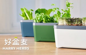 嘖嘖 | 好盆友｜全年無休，做你的城市農夫！世界越複雜，菜越要簡單種。