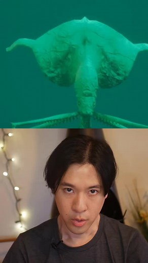 Mangapinna: Discovering the Creepy Alien of the Deep Sea