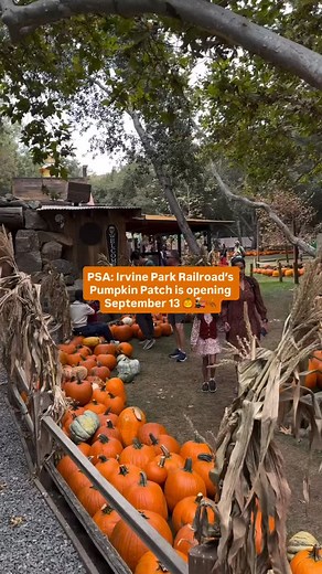124K views · 11K reactions | Almost that time of the year   @irvineparkrailroad will be open daily starting September 13 till October 31st! Pro-tip: Reservaruons are requiered on weekends! Who’s excited? #LABucketList #LA | Los Angeles Bucket List | Facebook