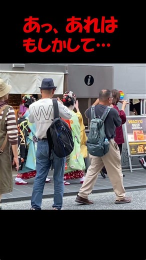 めっちゃ可愛い〜💓京都祇園に現れた舞妓さん #京都 #京都観光 #舞妓