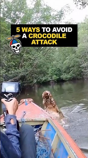 How to SURVIVE a Crocodile Attack… which clip is the worst?