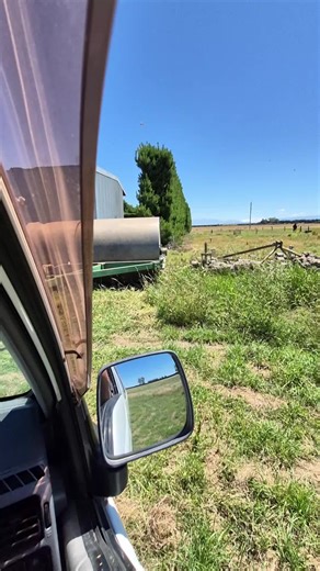 Understanding Beehives: The Science of Honey Flow