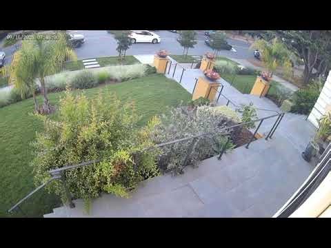Driver runs down Berkeley dog walker: Doorbell footage