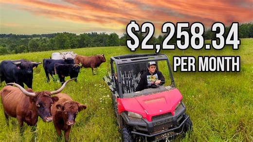 Running a small Vermont farm costs revealed per month
