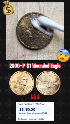 No Cleaning = No Losing Want to find out the value of your coins for free? 💰Leave a comment or click the link in our profile! 👏You’re welcome to use our app!#bills #CoinCollecting #penny #oldcoins #coins #money #treasurehunt #coin #numismatica #dollar #bill #treasurehunting #coincollecting | HeritCoin