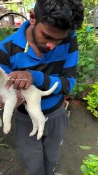 Two Children Led Us to a Dying Puppy—And Helped Save His Life #dog #rescue #story