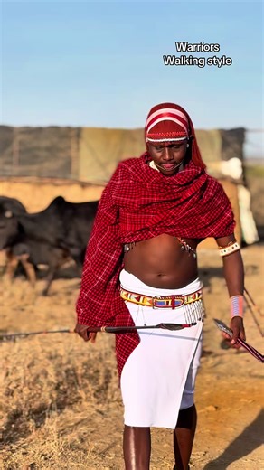 Warriors Walking Style: A Unique Dance Experience